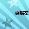 真嶋左京（关于真嶋左京介绍）