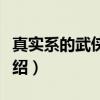 真实系的武侠世界（关于真实系的武侠世界介绍）