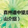 真州道中望瓜步诸山（关于真州道中望瓜步诸山介绍）