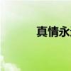 真情永远（关于真情永远介绍）