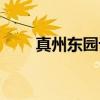 真州东园记（关于真州东园记介绍）