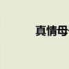 真情母子（关于真情母子介绍）