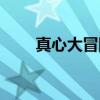 真心大冒险（关于真心大冒险介绍）