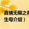 真情无限之养母·生母（关于真情无限之养母·生母介绍）