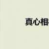 真心相待（关于真心相待介绍）