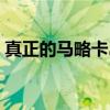 真正的马略卡岛（关于真正的马略卡岛介绍）