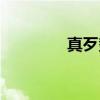 真歹势（关于真歹势介绍）