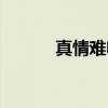 真情难收（关于真情难收介绍）