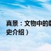 真景：文物中的朝鲜王朝史（关于真景：文物中的朝鲜王朝史介绍）