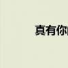 真有你的（关于真有你的介绍）
