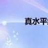 真水平线（关于真水平线介绍）