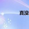 真没睡(关于真没睡介绍) 真没睡(关于真没睡介绍)