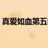 真爱如血第五季（关于真爱如血第五季介绍）