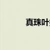 真珠叶护（关于真珠叶护介绍）