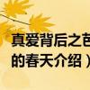 真爱背后之芭蕾的春天（关于真爱背后之芭蕾的春天介绍）