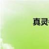 真灵寺（关于真灵寺介绍）