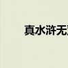 真水浒无双（关于真水浒无双介绍）