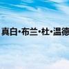 真白·布兰·杜·温德布伦（关于真白·布兰·杜·温德布伦介绍）