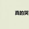 真的哭了（关于真的哭了介绍）