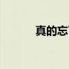 真的忘了（关于真的忘了介绍）