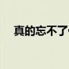 真的忘不了你(关于真的忘不了你介绍) 真的忘不了你(关于真的忘不了你介绍)