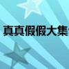 真真假假大集合（关于真真假假大集合介绍）
