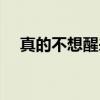 真的不想醒来（关于真的不想醒来介绍）