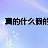 真的什么假的1（关于真的什么假的1介绍）