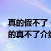 真的假不了 假的真不了（关于真的假不了 假的真不了介绍）