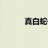 真白蛇传（关于真白蛇传介绍）