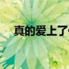 真的爱上了你（关于真的爱上了你介绍）