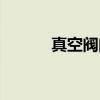 真空阀门（关于真空阀门介绍）