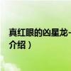 真红眼的凶星龙-流星之龙（关于真红眼的凶星龙-流星之龙介绍）