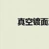 真空镀面漆（关于真空镀面漆介绍）