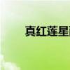 真红莲星雨（关于真红莲星雨介绍）