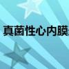 真菌性心内膜炎（关于真菌性心内膜炎介绍）