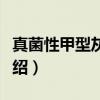 真菌性甲型灰指甲（关于真菌性甲型灰指甲介绍）