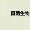 真菌生物学（关于真菌生物学介绍）