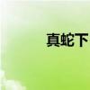 真蛇下目（关于真蛇下目介绍）