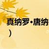 真纳罗·唐纳鲁马（关于真纳罗·唐纳鲁马介绍）