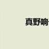 真野响子（关于真野响子介绍）