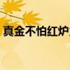 真金不怕红炉火(关于真金不怕红炉火介绍) 真金不怕红炉火(关于真金不怕红炉火介绍)