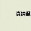 真纳诞辰(关于真纳诞辰介绍) 真纳诞辰(关于真纳诞辰介绍)