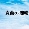 真菌α-淀粉酶（关于真菌α-淀粉酶介绍）