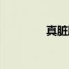 真脏脉（关于真脏脉介绍）