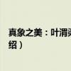 真象之美：叶渭渠自选集（关于真象之美：叶渭渠自选集介绍）