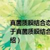 真菌质膜结合态β-葡萄糖苷酶的cDNA克隆和序列分析（关于真菌质膜结合态β-葡萄糖苷酶的cDNA克隆和序列分析介绍）