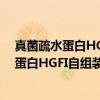 真菌疏水蛋白HGFI自组装分子机制的研究（关于真菌疏水蛋白HGFI自组装分子机制的研究介绍）