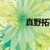 真野拓实（关于真野拓实介绍）