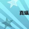 真蝠属（关于真蝠属介绍）